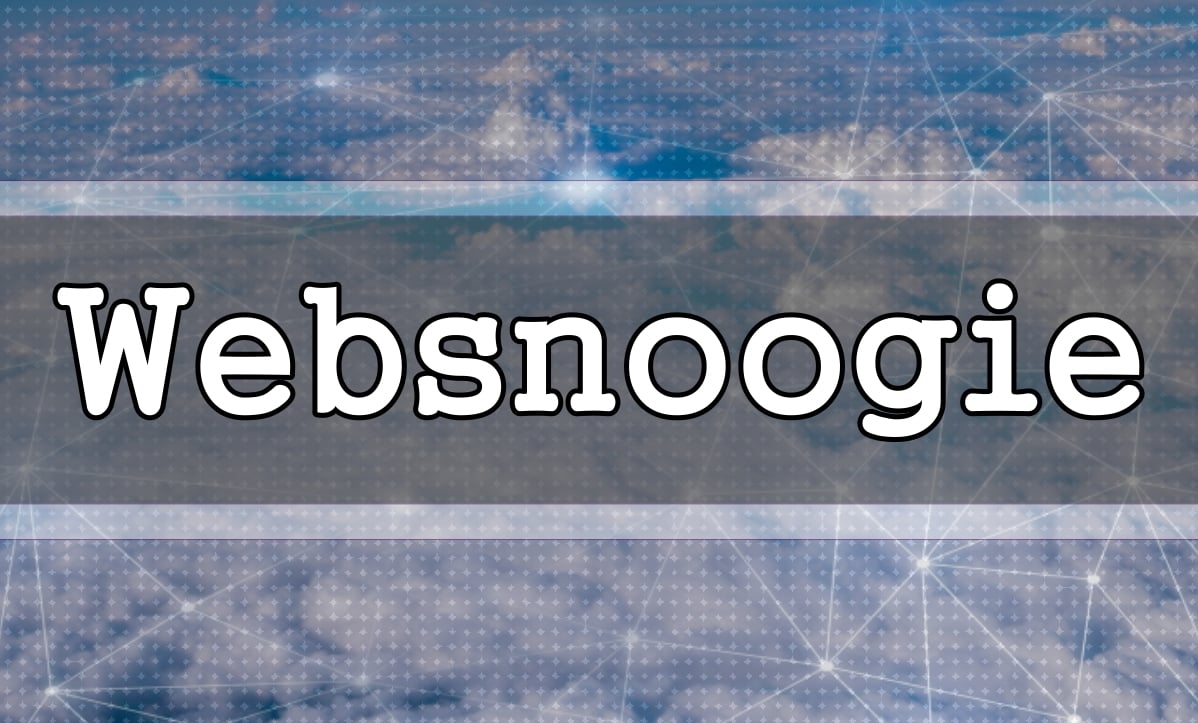 Websnoogie does web design